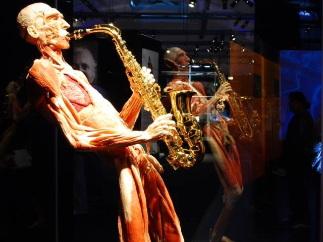 Body Worlds, Amsterdam