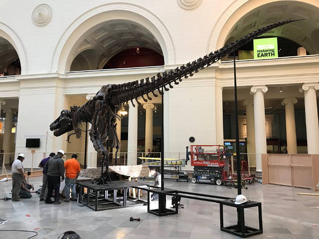 Muzeul Field, Chicago