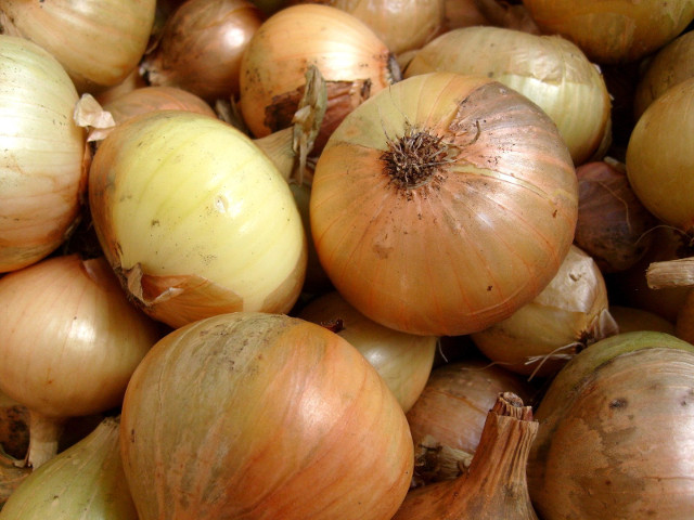 Lacrimile provocate de ceapa sunt cauzate de acidul sulfuric din compozitie