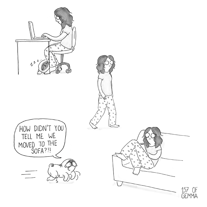 Se simt abandonati si cand sunt lasati singuri cateva minute