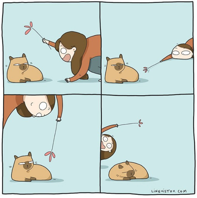 Uneori, nu au deloc chef de joaca, oricat ai incerca