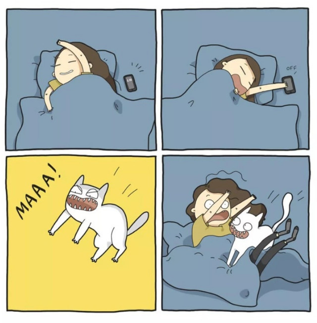 Te trezesc cand au chef de joaca