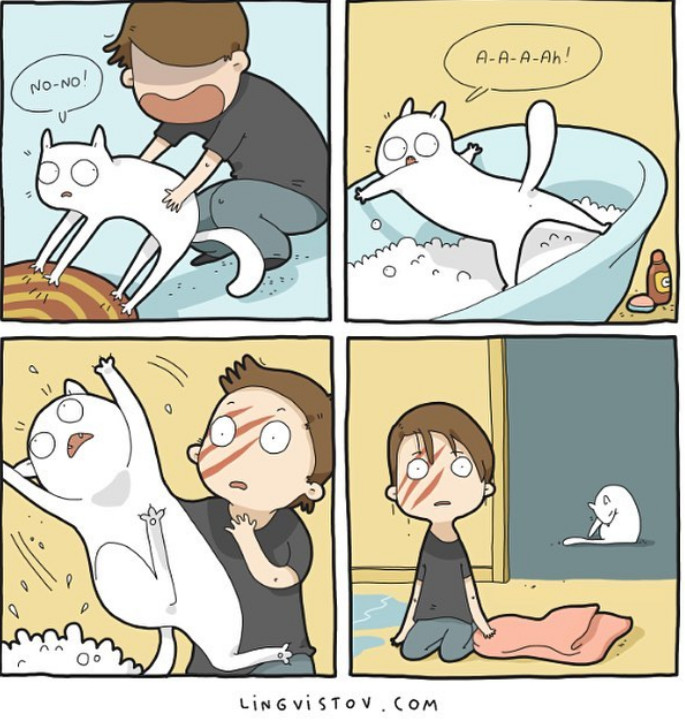 Baia e o adevarata aventura pentru pisici.