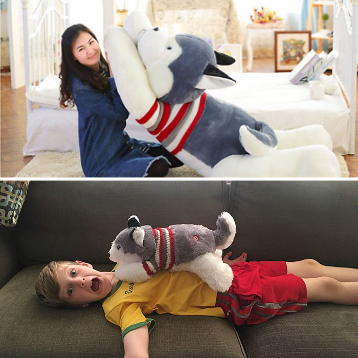 Acceasi problema si cu aceasta perna-husky