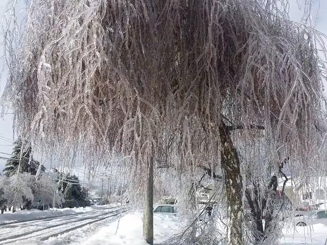 Ploaia inghetata este asociata cu apropierea unui front cald, aerul rece, sub pragul de inghet, fiind blocat in stratul inferior al atmosferei