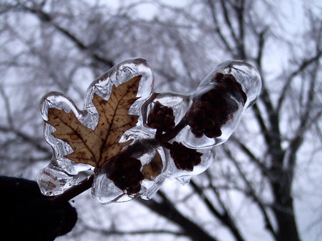 Totul se transforma in sticla
