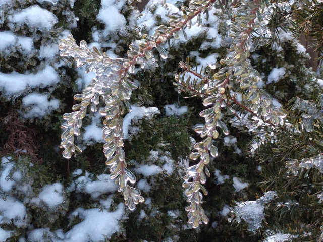 Adevarata opera de arta