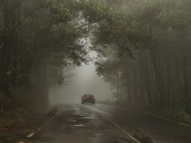 Cazul lui Grateful Doe