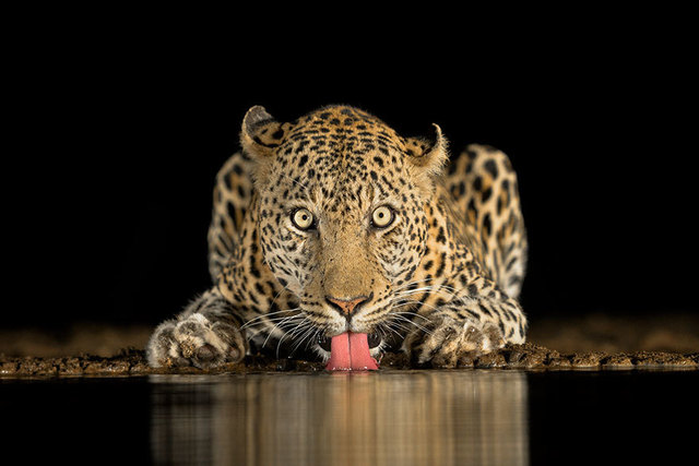 Brendon Cremer, Africa de Sud