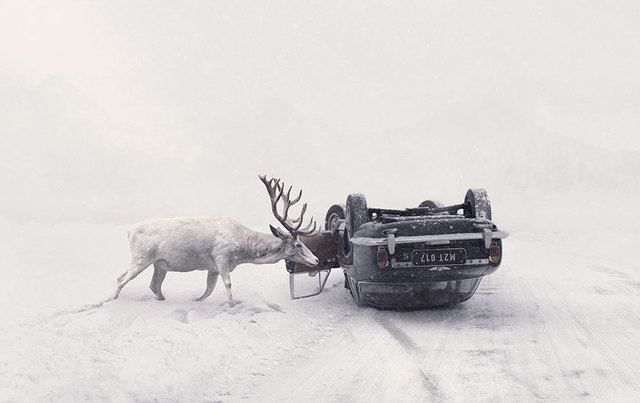 Martin Stranka, Cehia