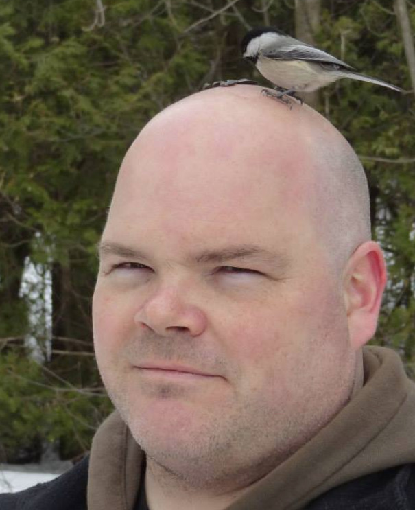 Oamenii si animalele pot trai in deplina armonie