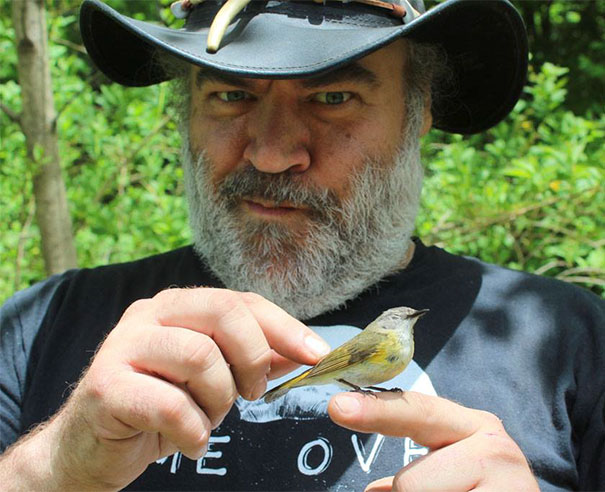 Ca o printesa Disney...