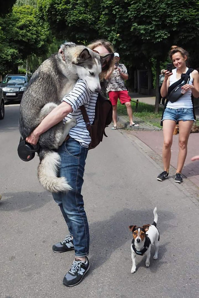 Uneori vor doar sa fie tinuti in brate