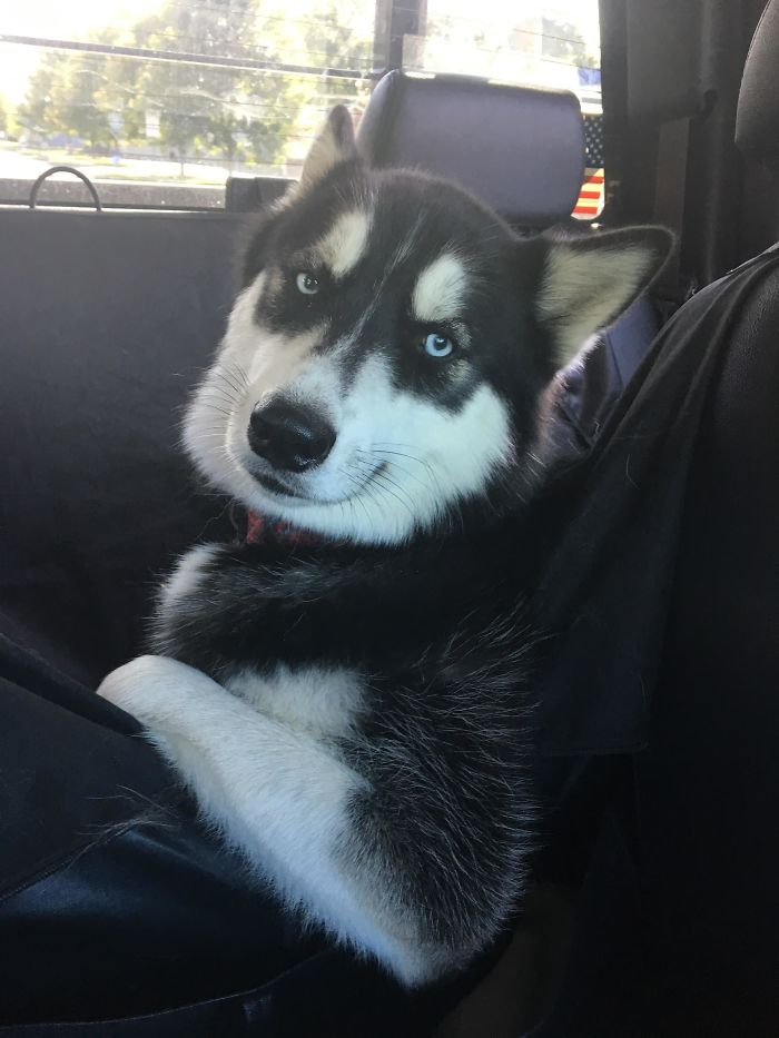 Par mereu... sceptici