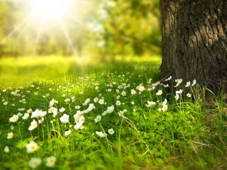 Cum va fi vremea de Pasti