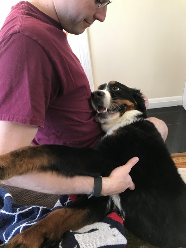 Dupa noua saptamani de absenta, acest catel primeste din nou imbratisarea stapanului lui