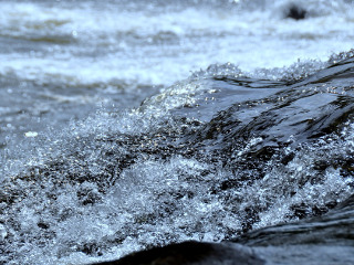 Ce sa faci pentru a fi sanatos tot restul anului