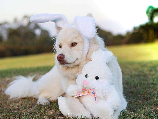 Pur si simplu adorabil!