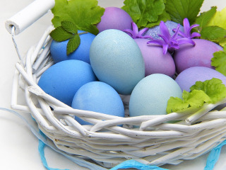 Se merge in vizita la apropiati