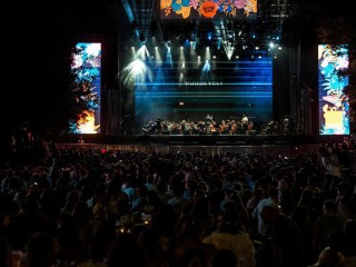 Festivalul Summer Well