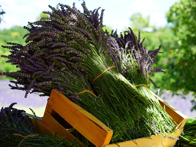 Incearca aromaterapia