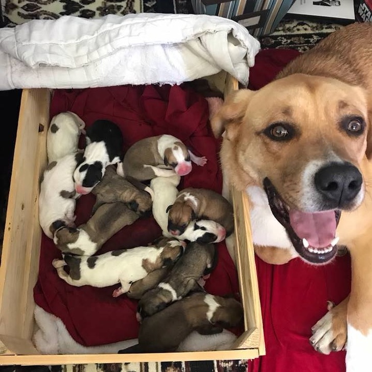 Mandra de copiii ei!