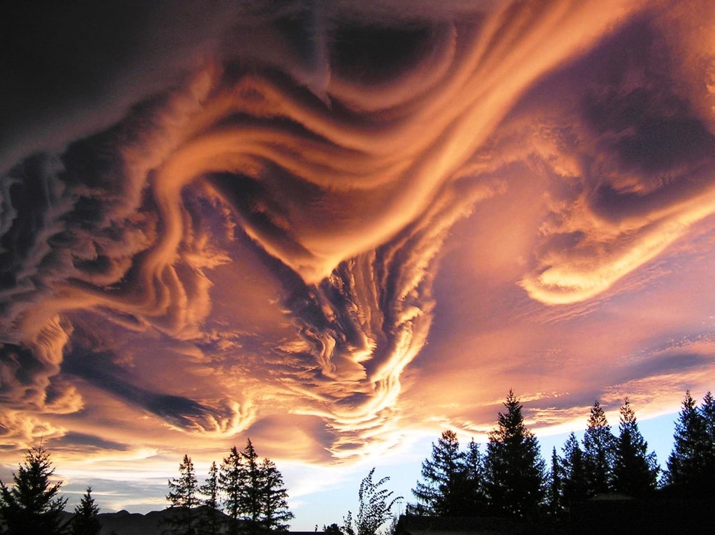 Natura este cel mai talentat pictor