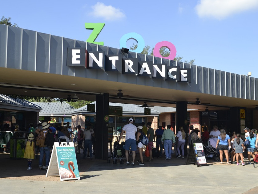 Impactul asupra copiilor