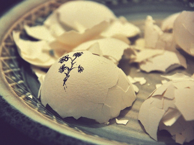 Coaja de ou curata rapid sticlele si vasele din sticla