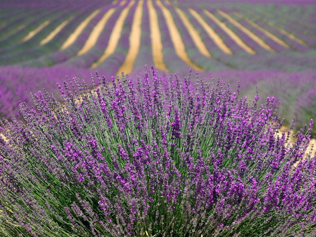 Da, acest loc exista in Franta!