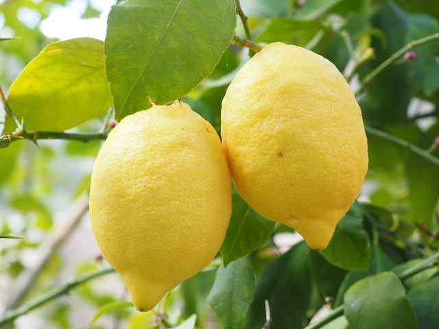 Lamaia si bicarbonatul de sodiu