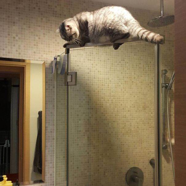 Curiozitatea a impins-o pe usa de la dus, unde a ramas blocata