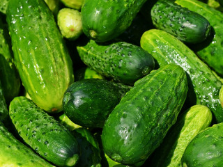 Castravetele are un plus de vitamine si minerale