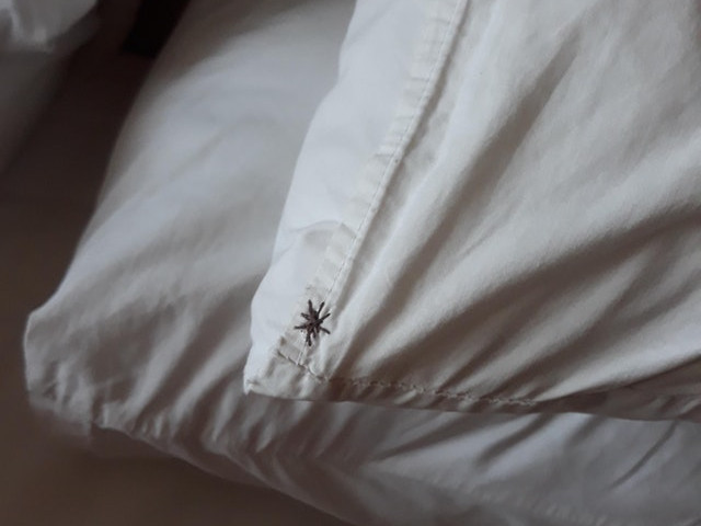 Pe aceasta perna trebuie sa fie cusut un palmier, insa a iesit un... paianjen