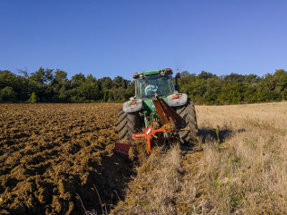 De ce sa nu muncesti la camp