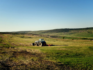 Nu se munceste la camp