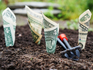 Lacomia nu este pentru intelepti