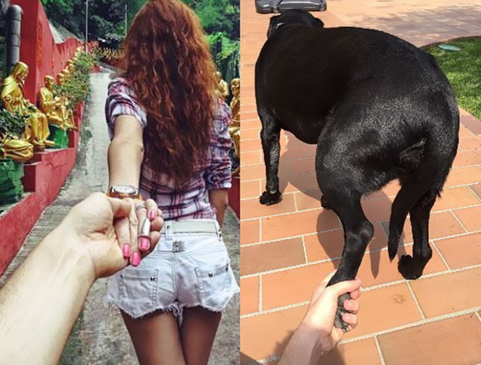 Replica ironica a celebrelor imagini "Follow me"