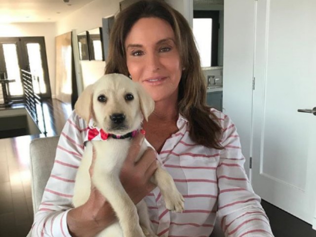 Caitlyn Jenner, personalitate tv