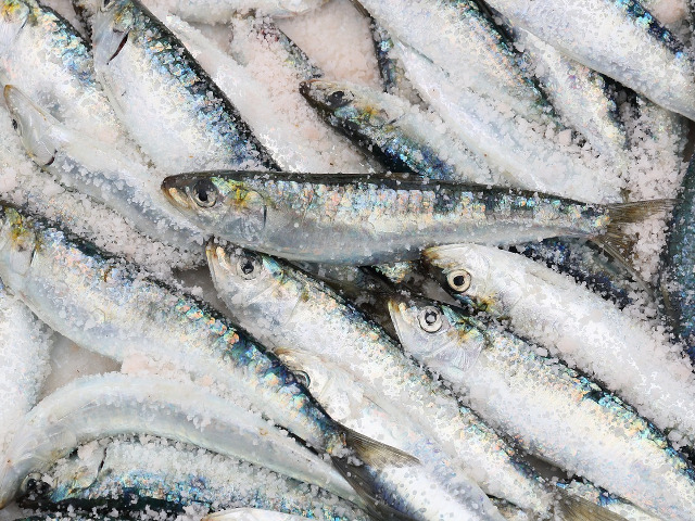 Gateste alimente care contin Omega 3