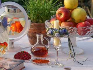 Lupta impotriva durerilor de gat