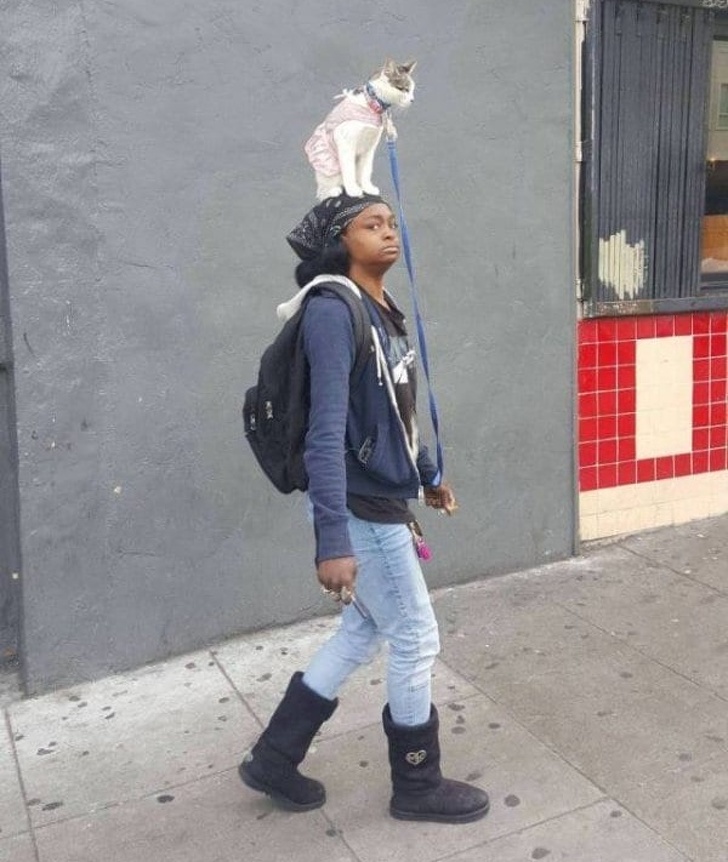 La plimbare cu... stapana