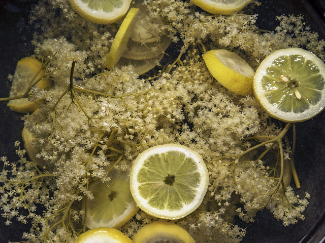 Intareste sistemul imunitar