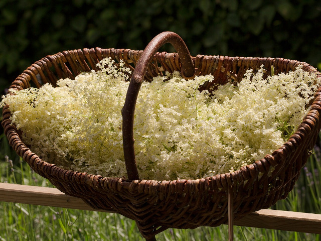 Trateaza reumatismul