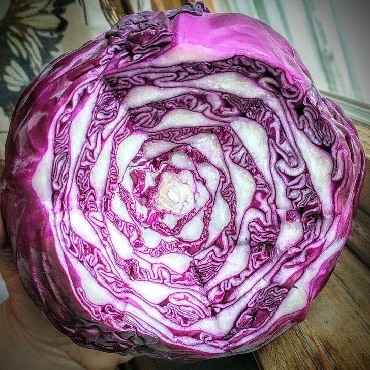 E doar interiorul unei verze