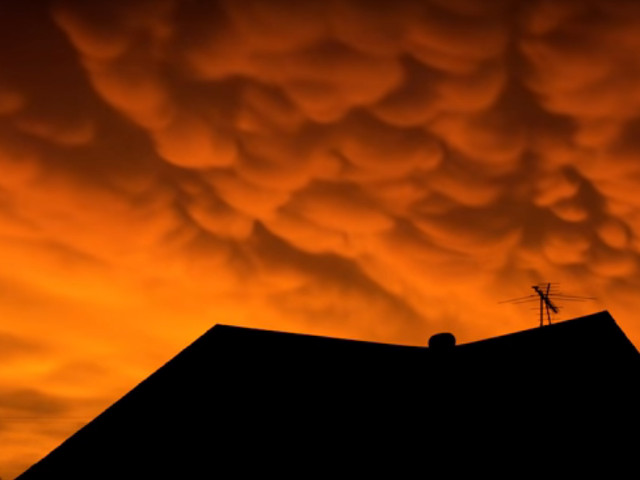 Nori Mammatus