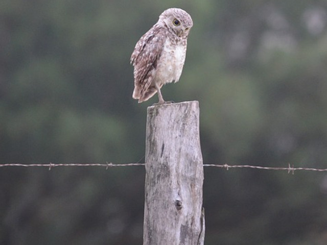 Te pune serios pe ganduri