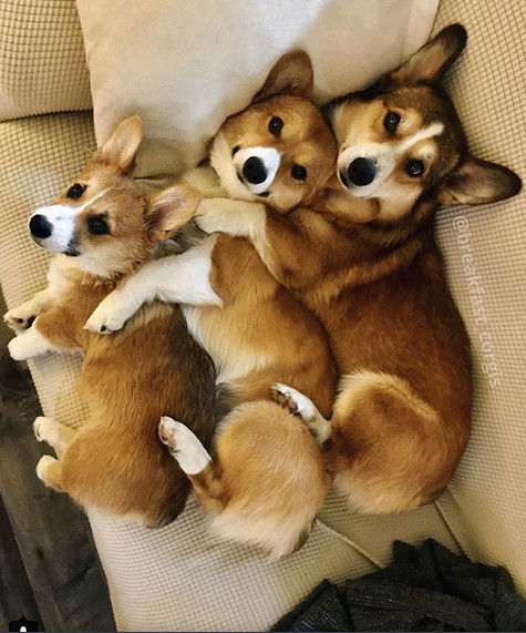 Mic, mediu sau mare?