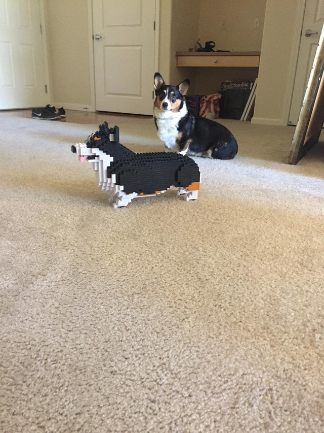 Atunci cand esti pus in fata faptului implinit