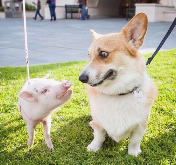 Atunci cand nu iti place compania